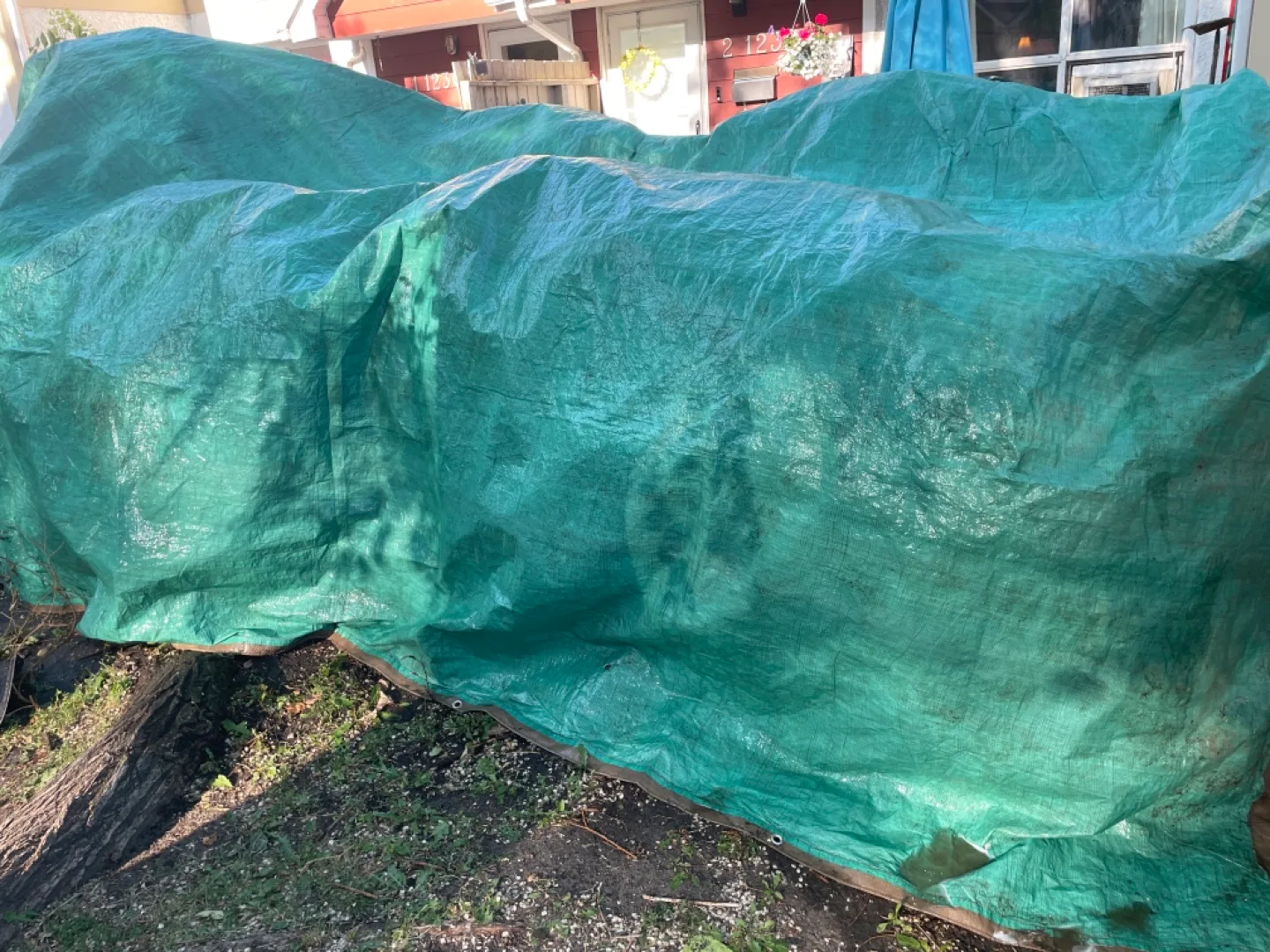 Green Tarp thumbnail