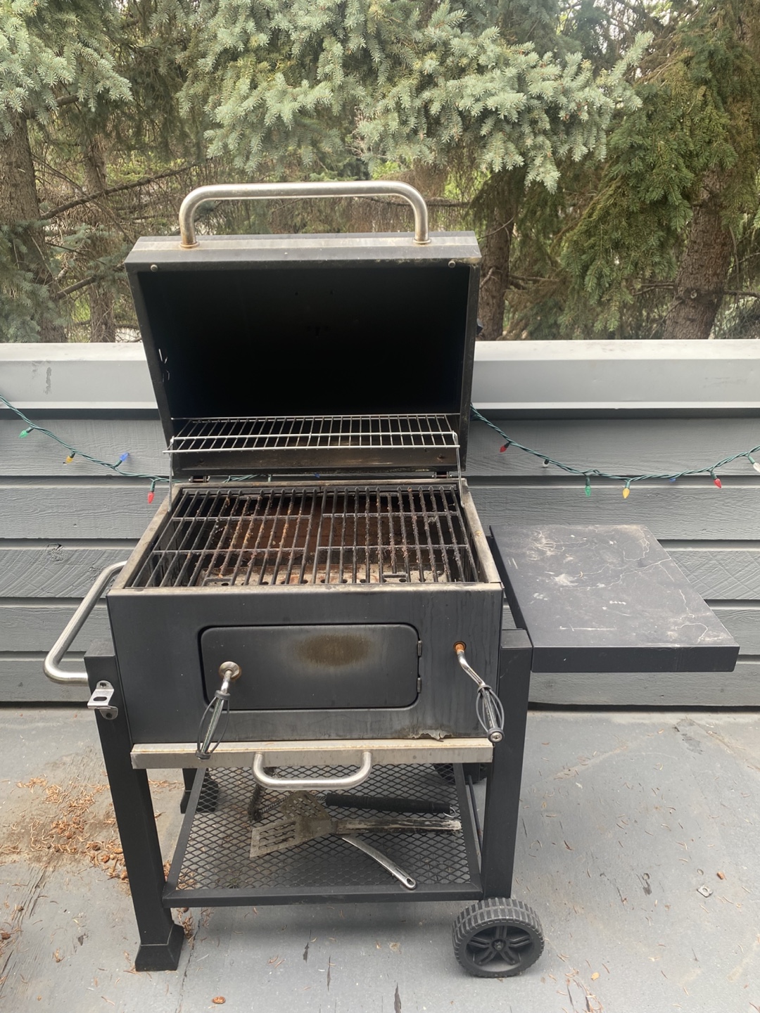 Expert Grill BBQ - photo 4