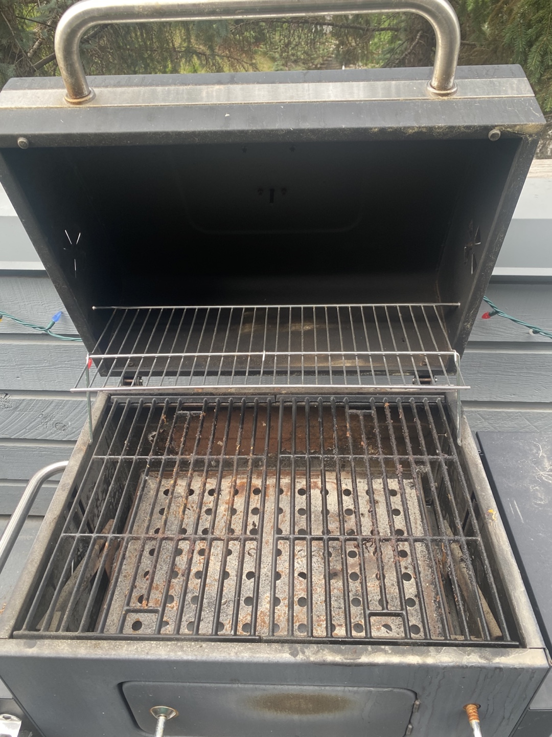 Expert Grill BBQ - photo 5
