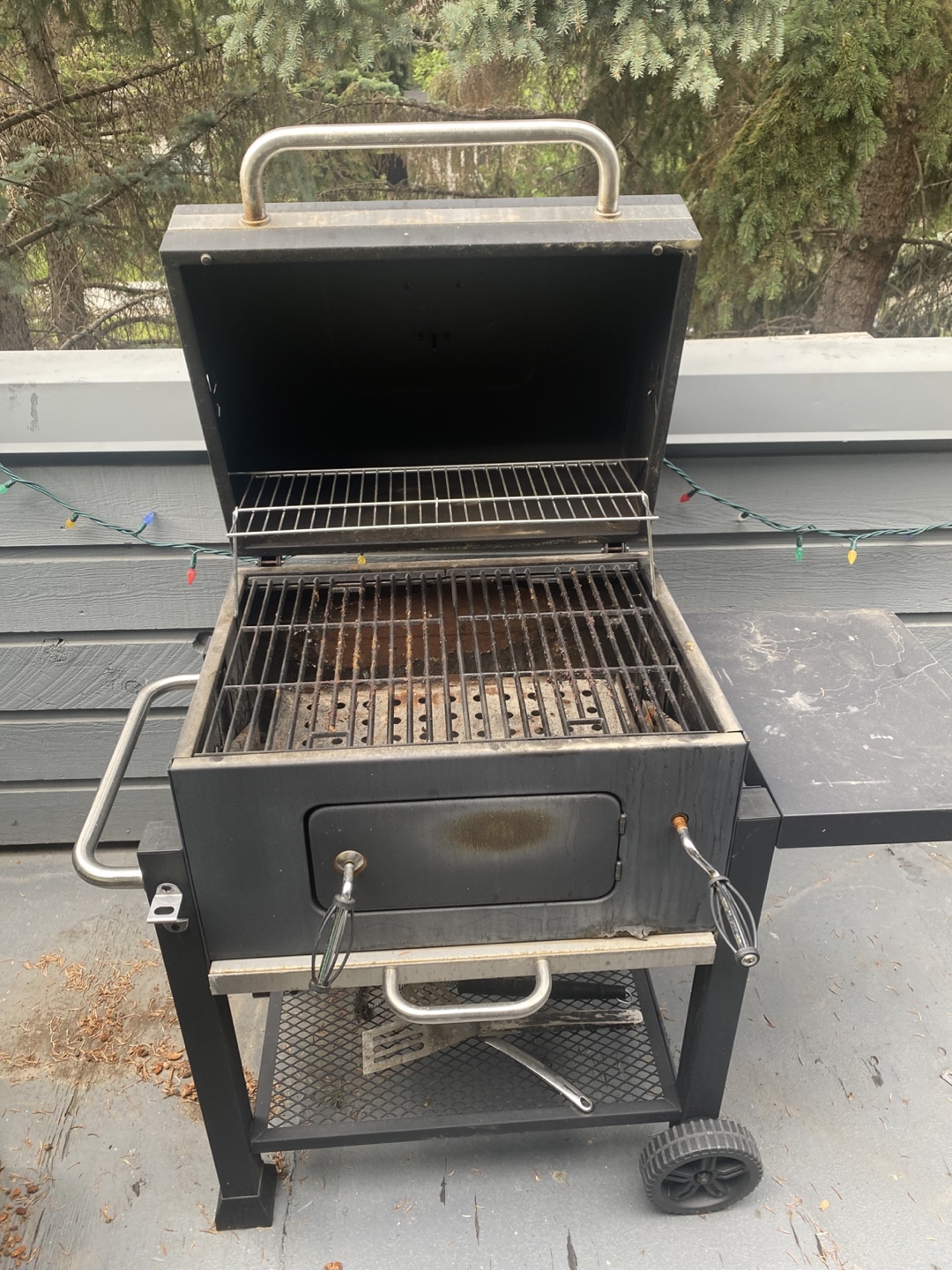 Expert Grill BBQ - photo 2