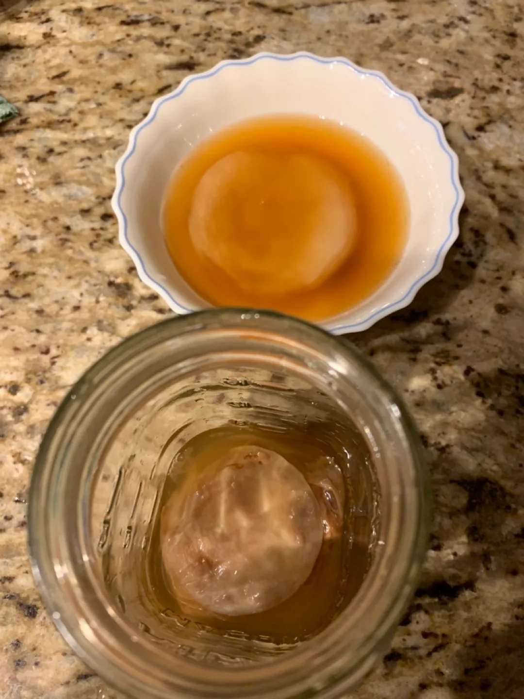 Kombucha Scoby, probiotic drink with instructions, organic thumbnail