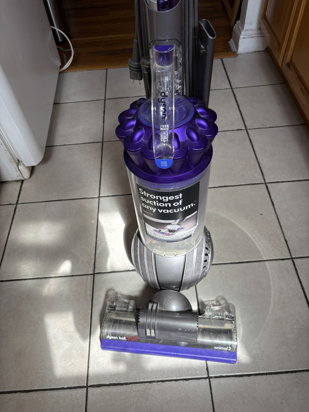 Dyson Ball Animal 2 Upright Vacuum