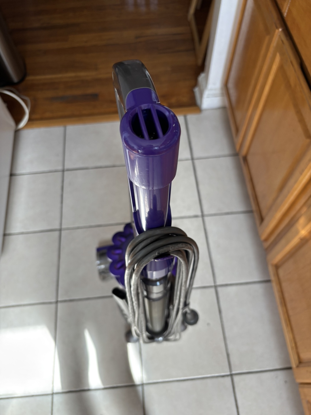 Dyson Ball Animal 2 Upright Vacuum - photo 4