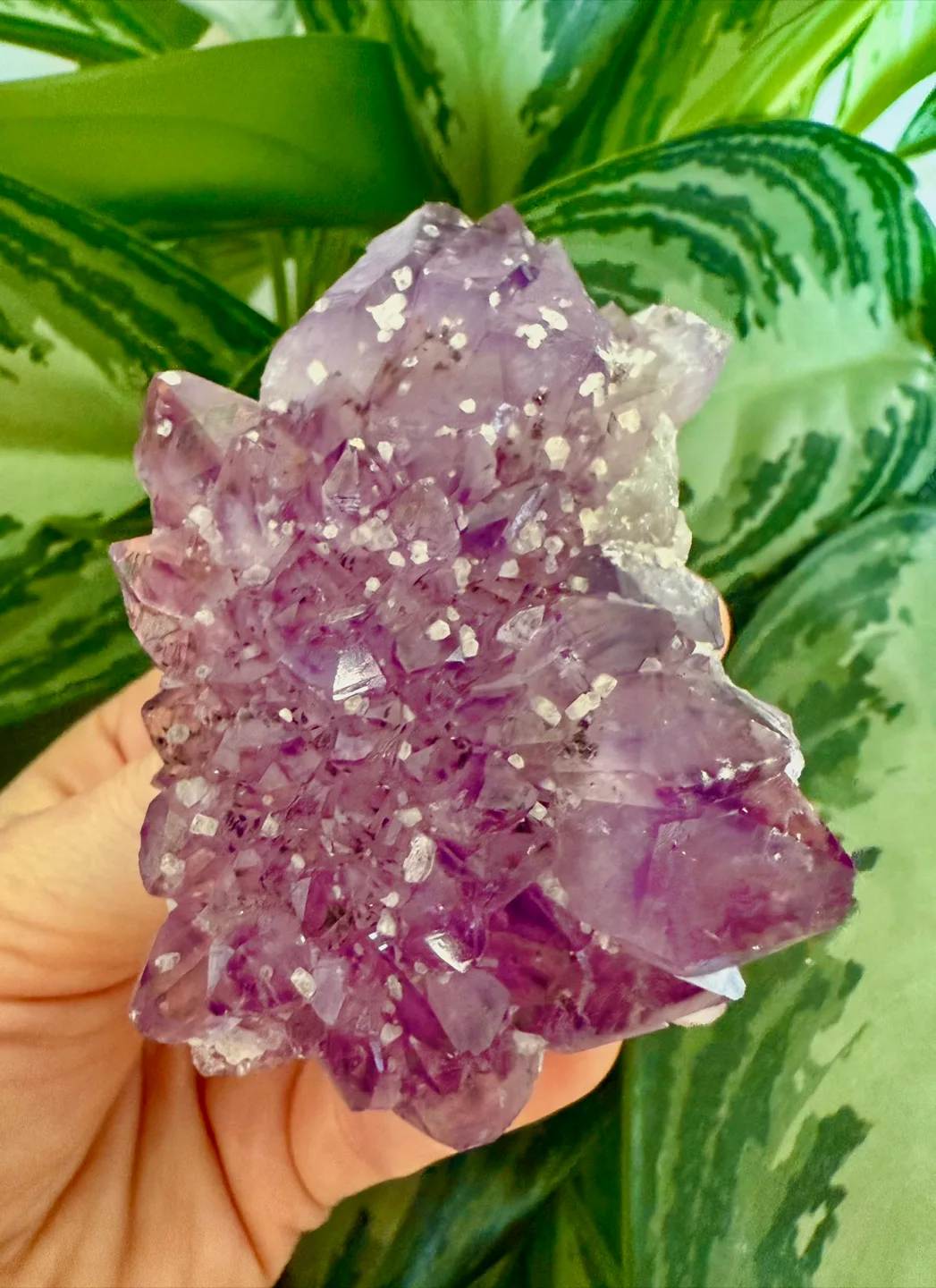 Raw Authentic Amethyst Cluster thumbnail