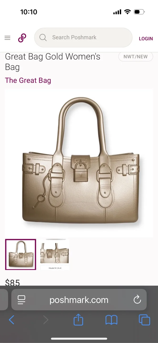 The Great Bag by Robert Verdi Silver Tote Bag image indicator(9)