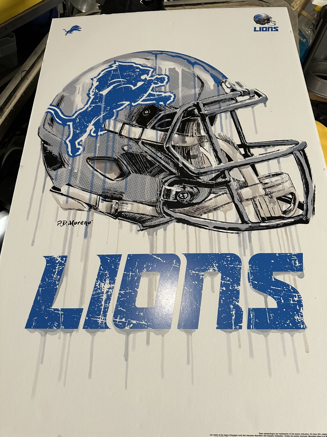 Detroit Lions NFL Helmet Art