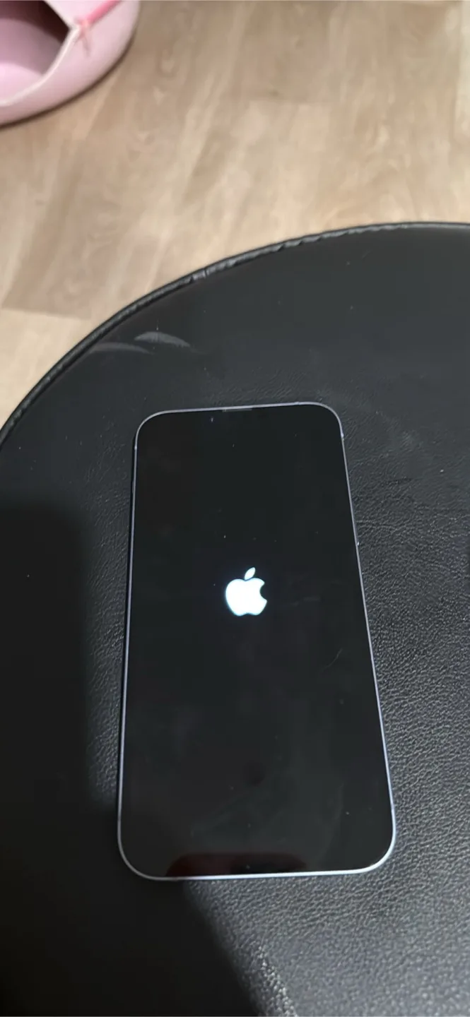 iPhone 14 Pro image indicator(2)