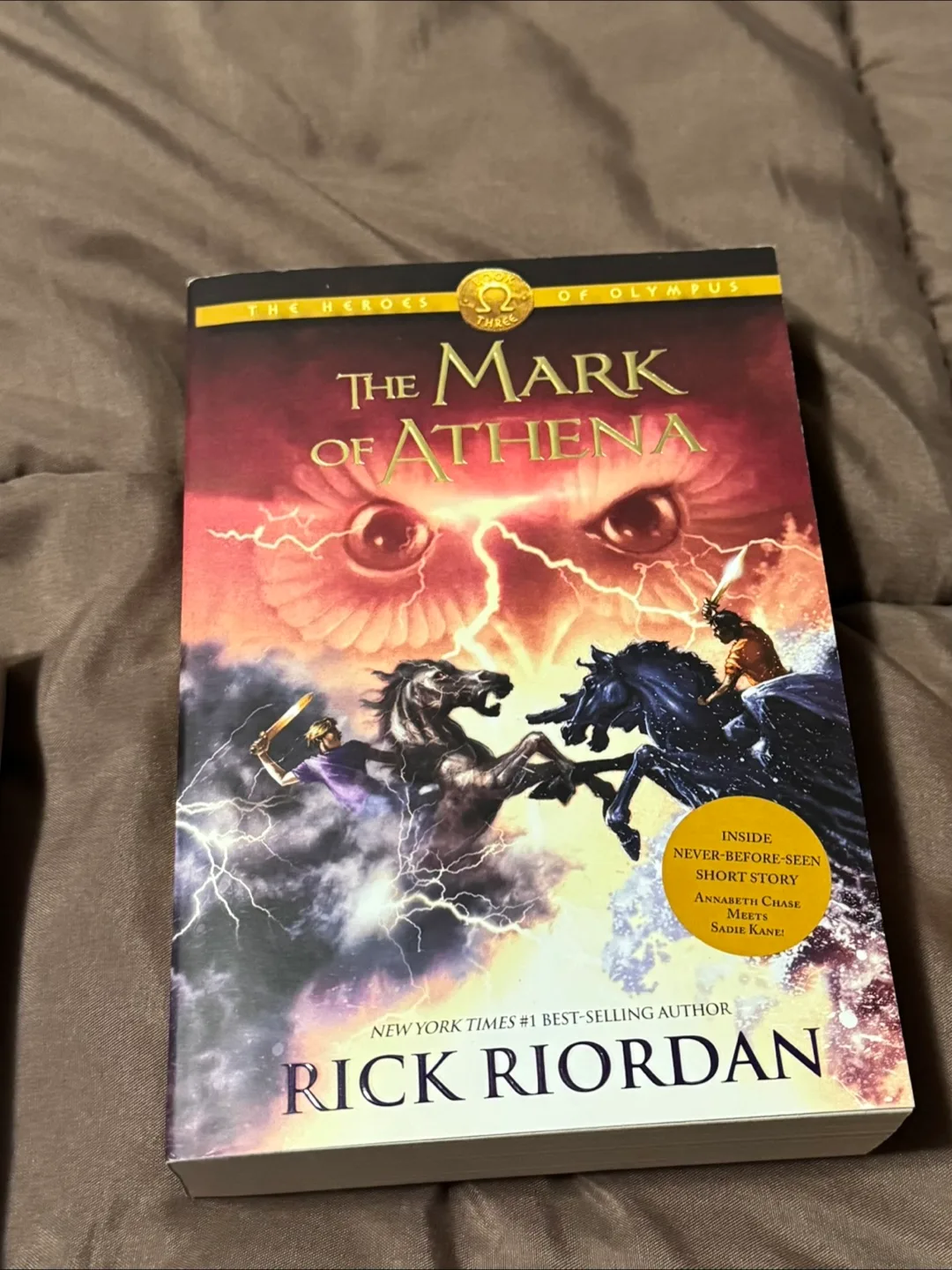 Rick Riordan Novels image indicator(3)
