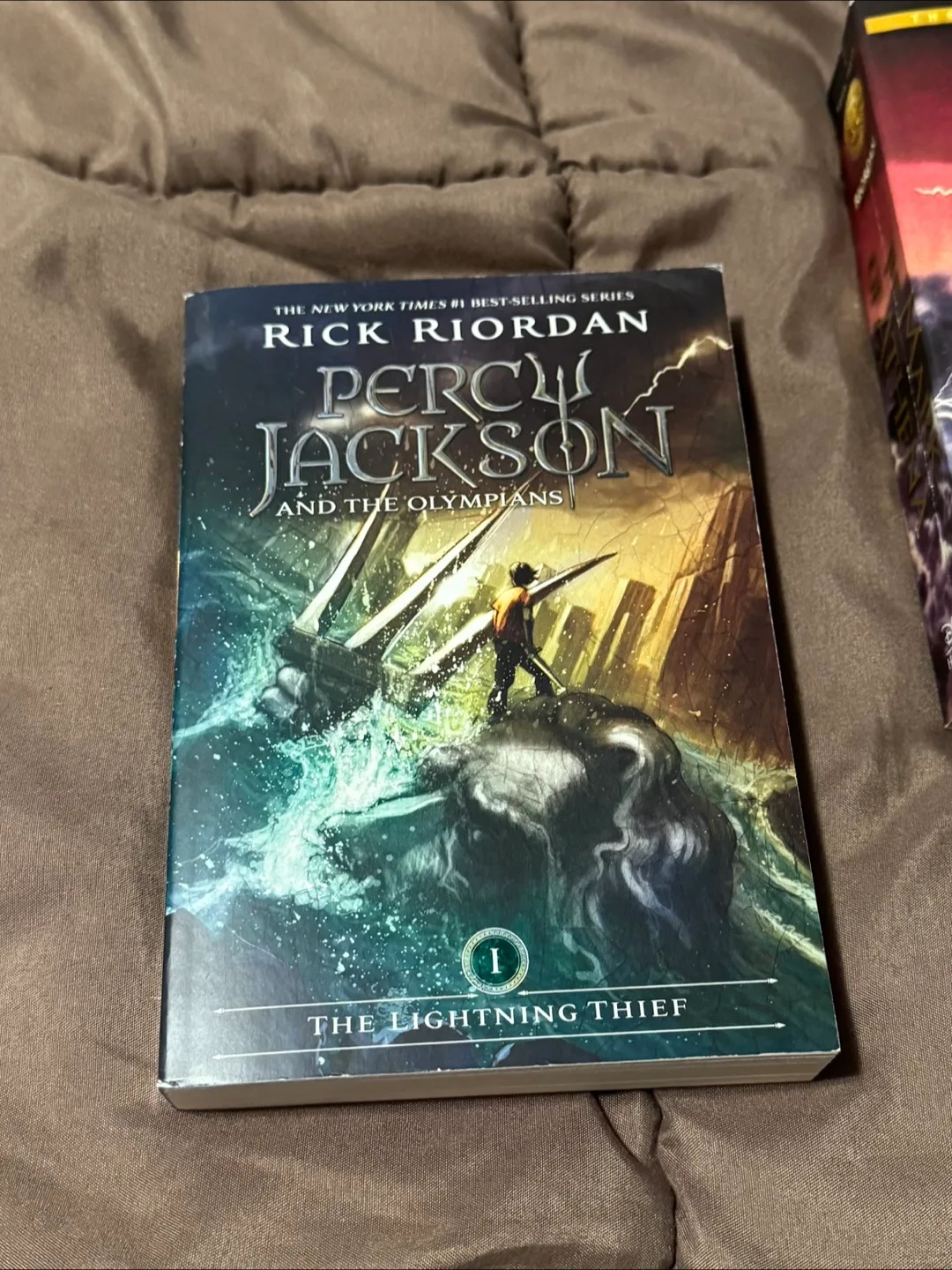 Rick Riordan Novels image indicator(2)