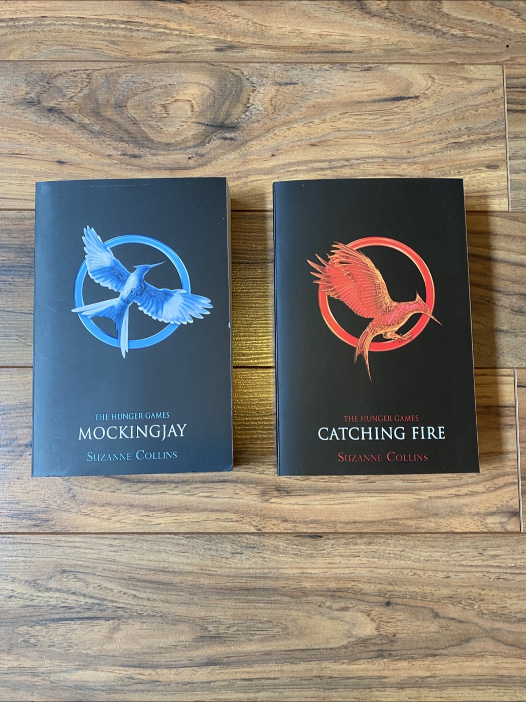 The Hunger Games: Mockingjay & Catching Fire Books