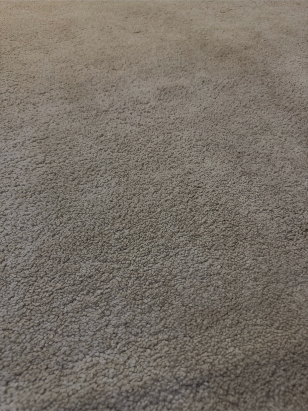 Ikea Rug - photo 2
