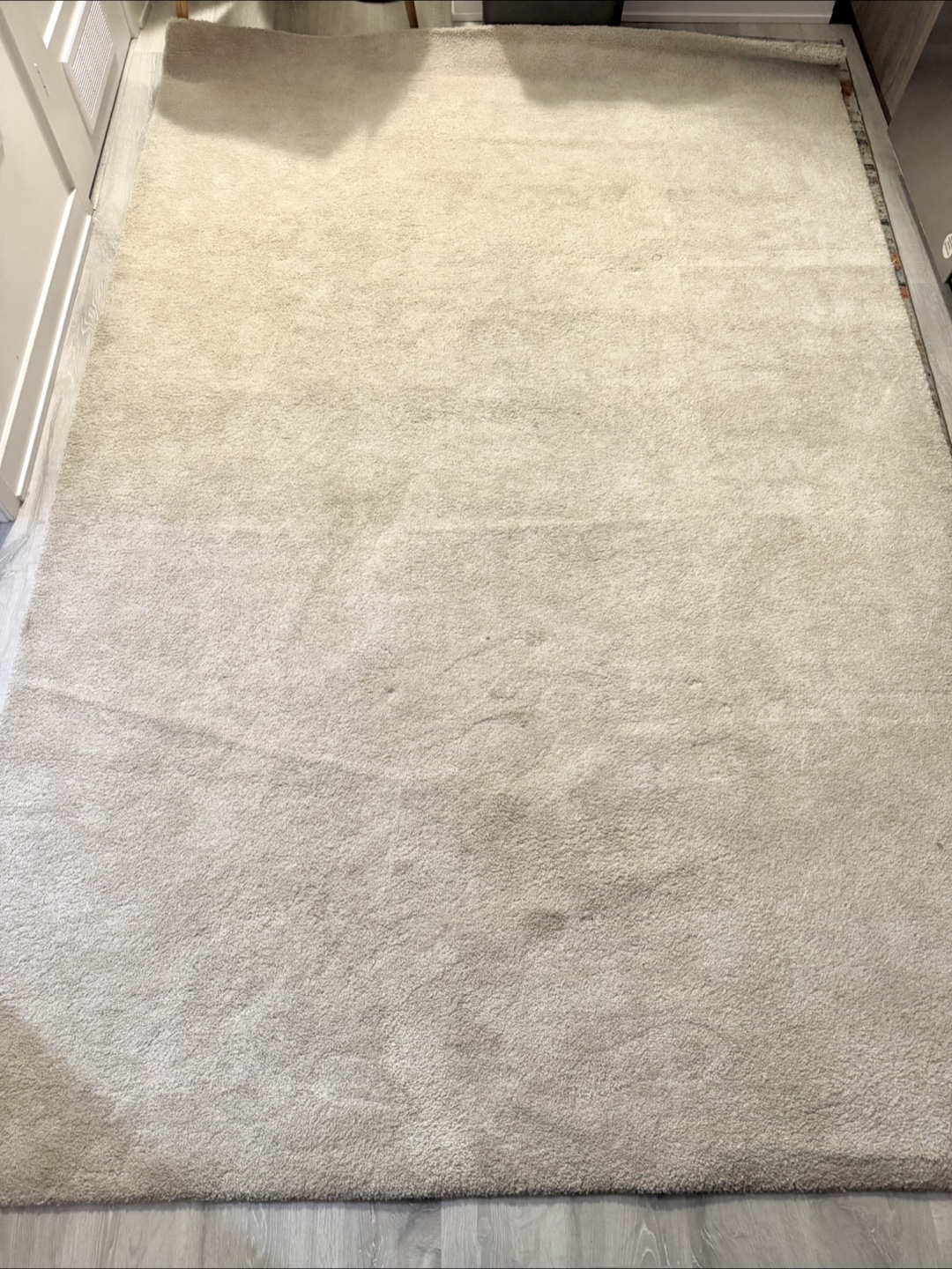 Ikea Rug