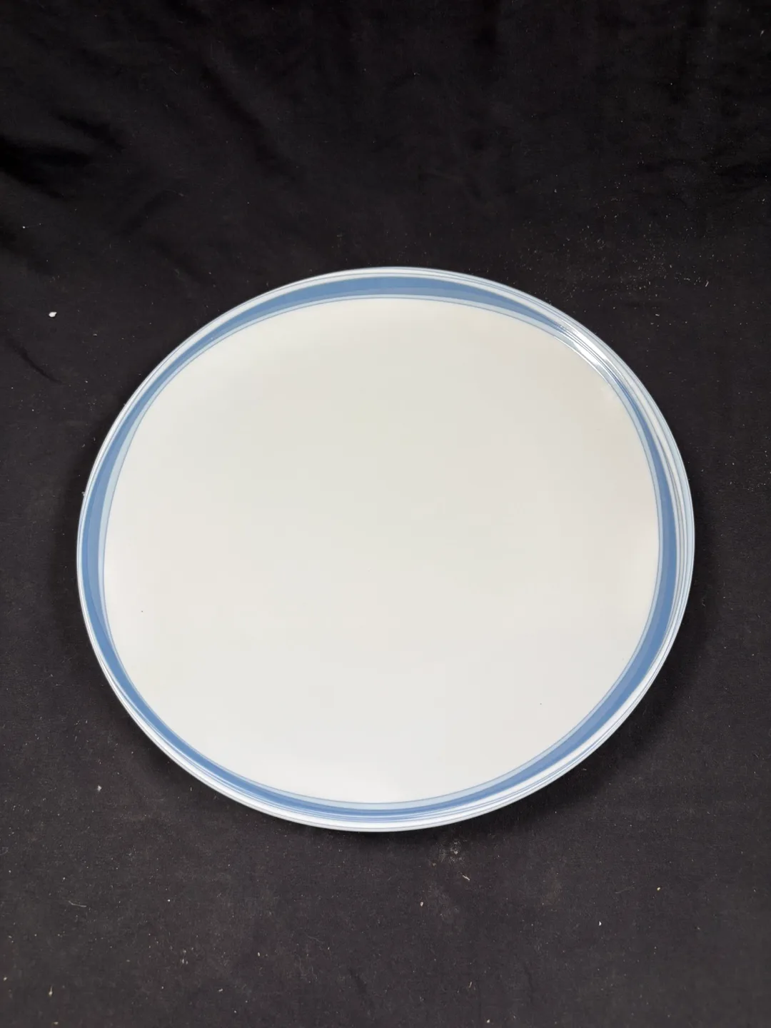 Studio Nova Platter - White with Blue Trim image indicator(2)