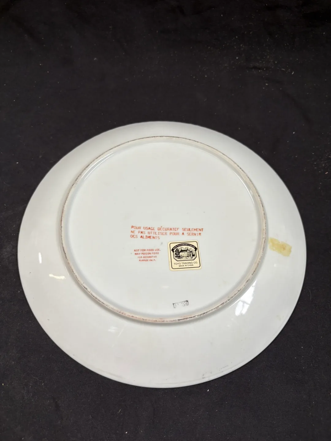 Studio Nova Platter - White with Blue Trim image indicator(4)