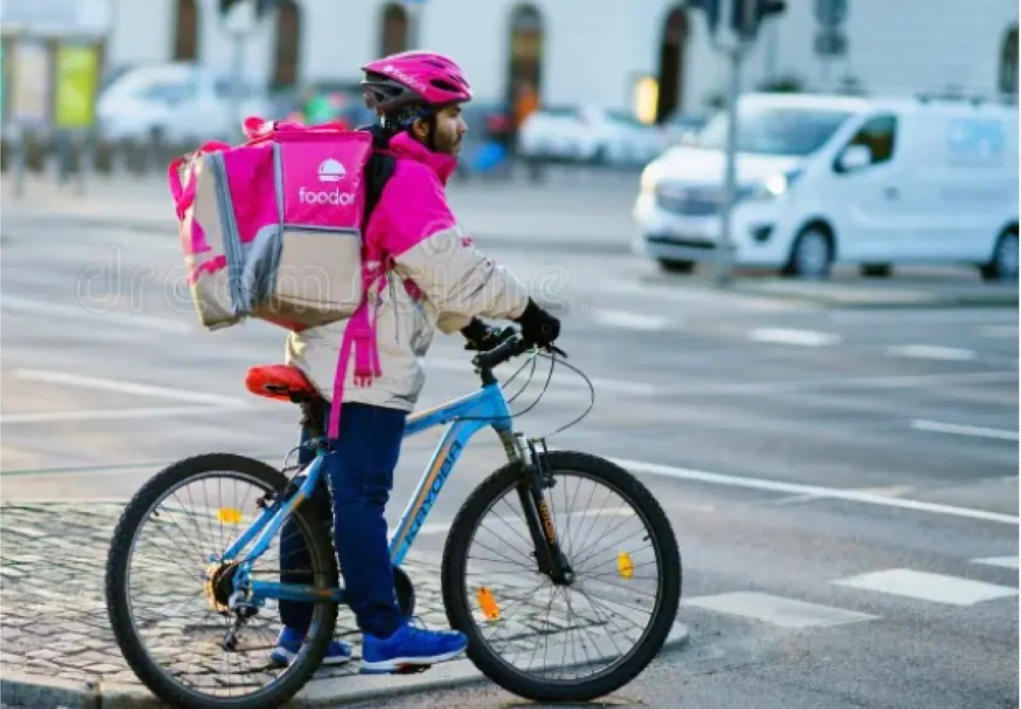 Foodora Delivery Backpack image indicator(3)