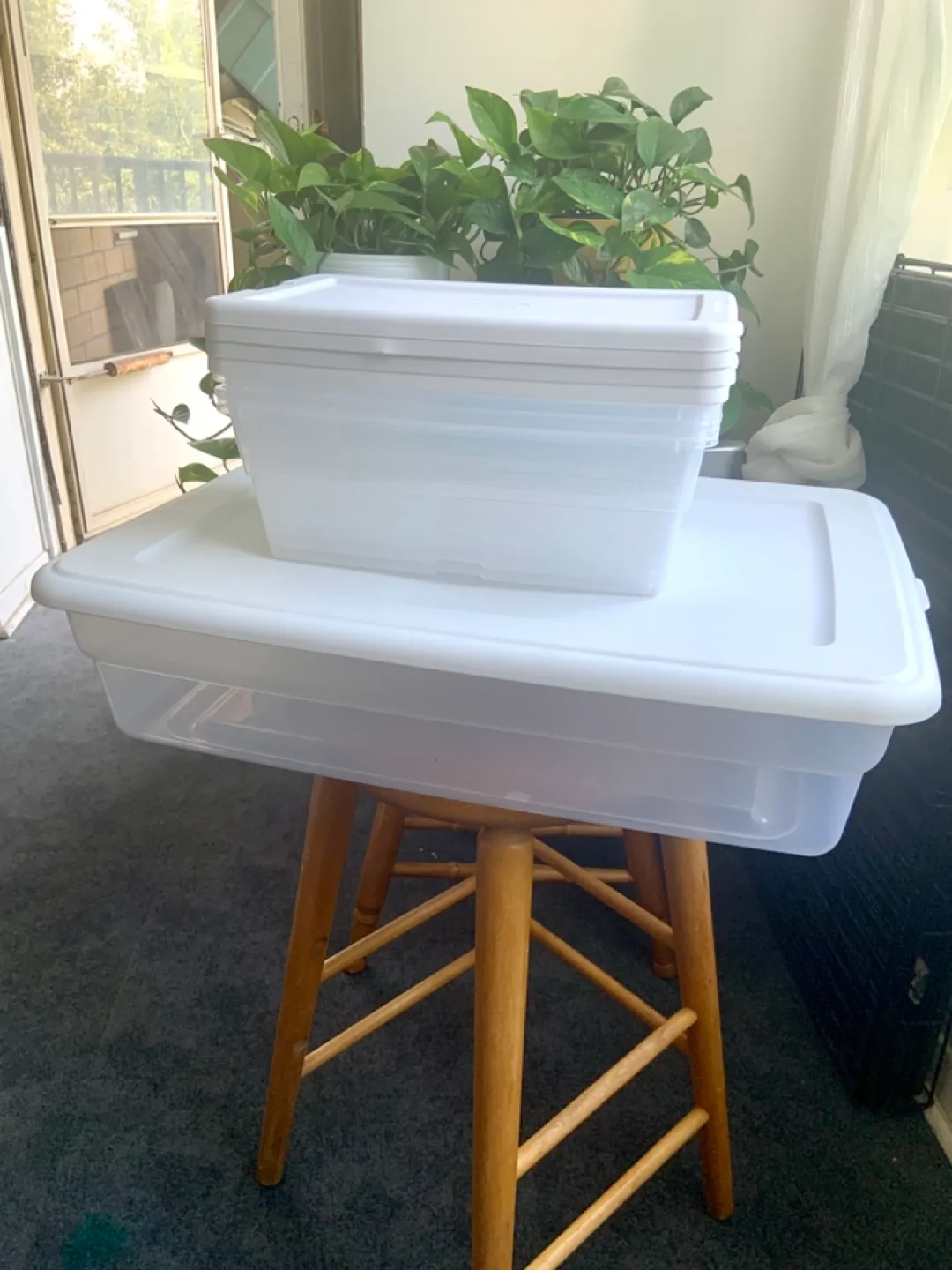 5 Sterilite storage bins thumbnail