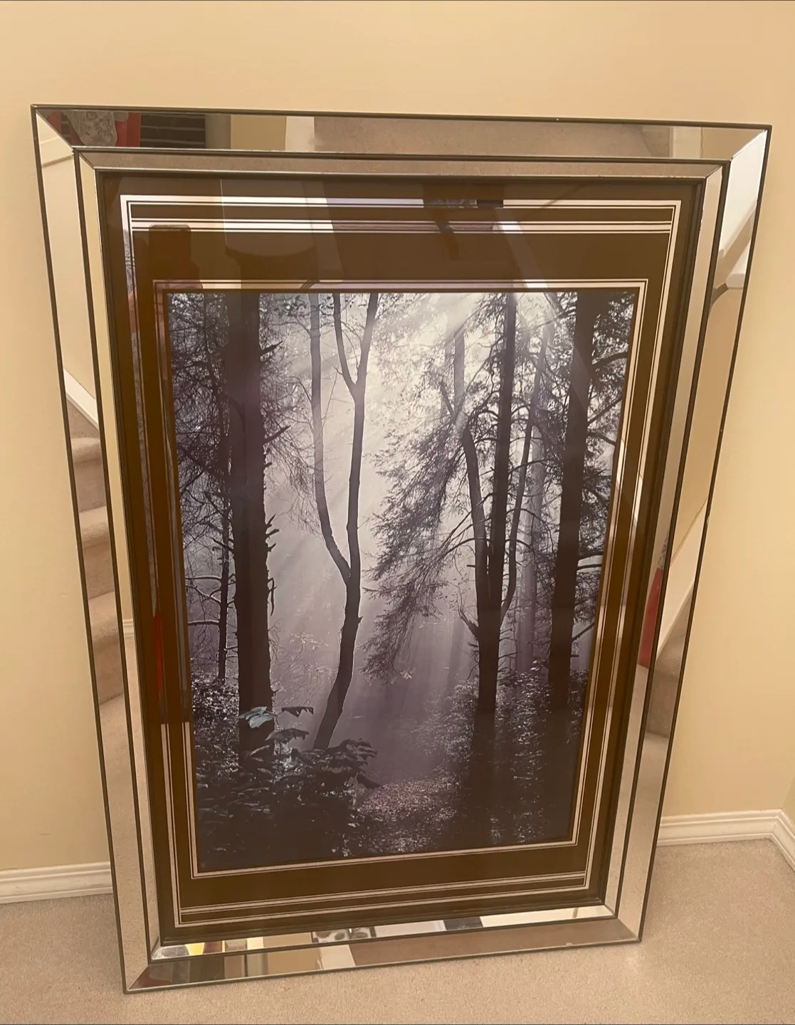 🇨🇦 Framed Forest Print with Mirrored Frame 27x40 image indicator(6)