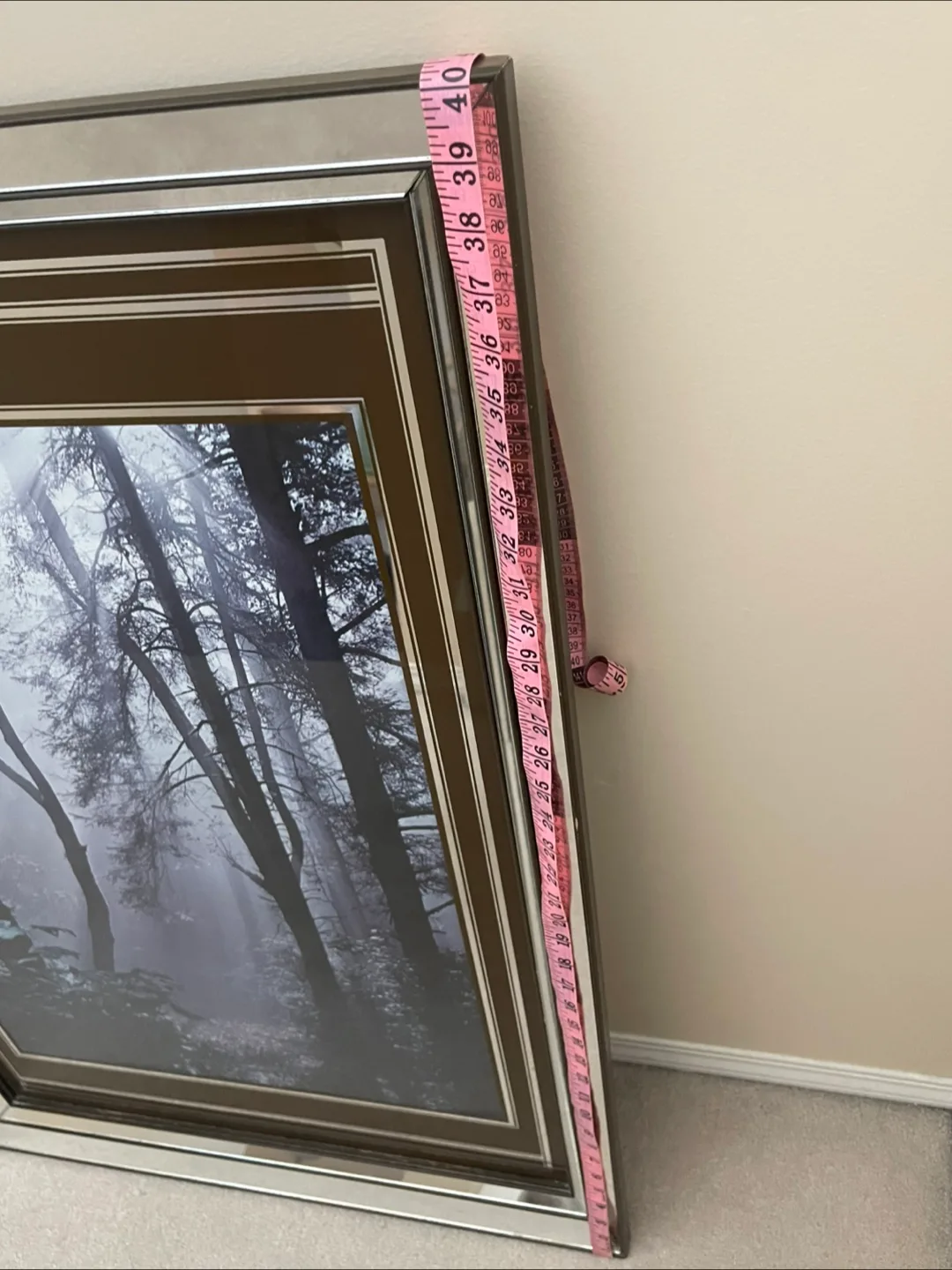🇨🇦 Framed Forest Print with Mirrored Frame 27x40 image indicator(4)