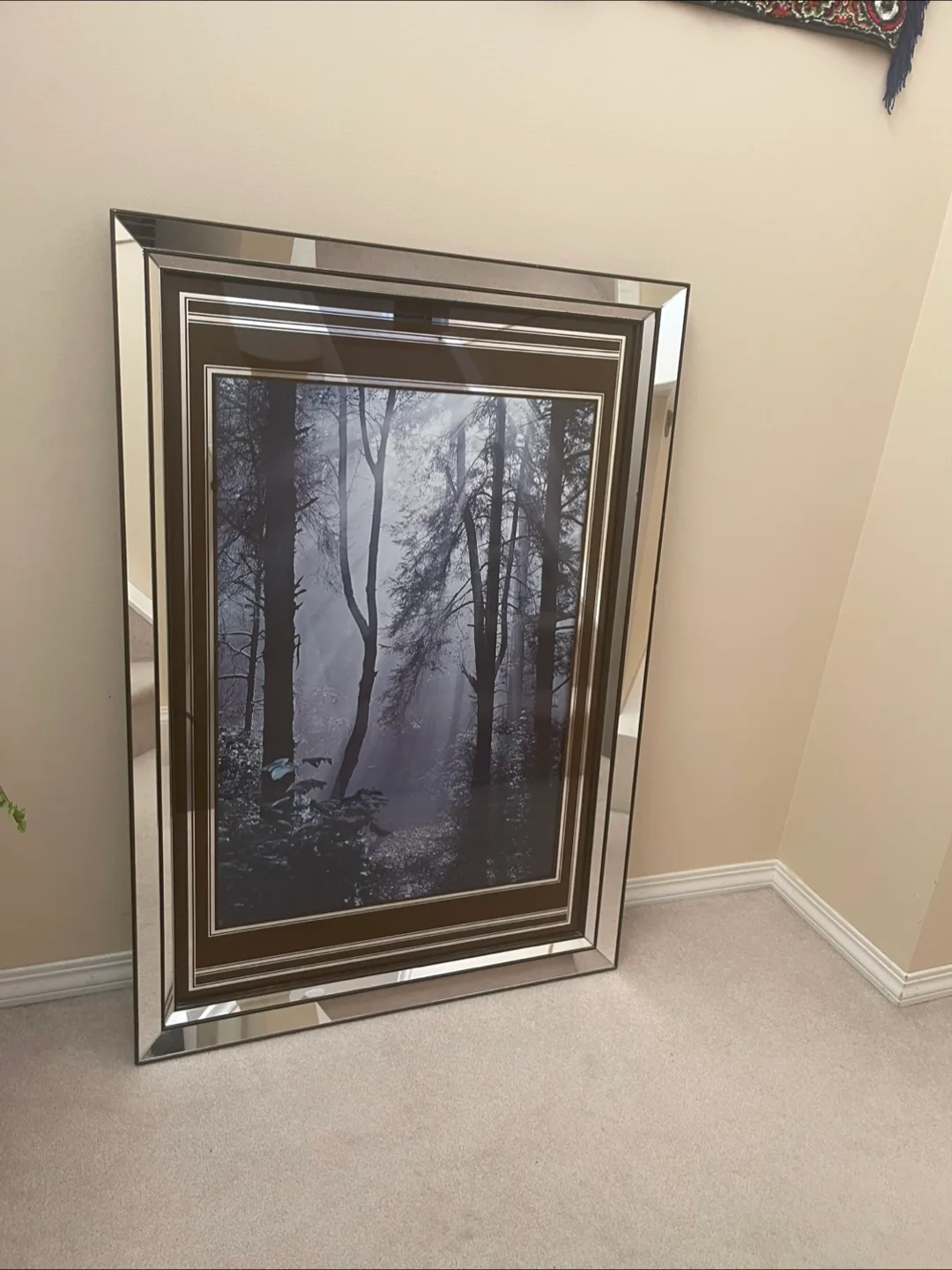 🇨🇦 Framed Forest Print with Mirrored Frame 27x40 image indicator(8)