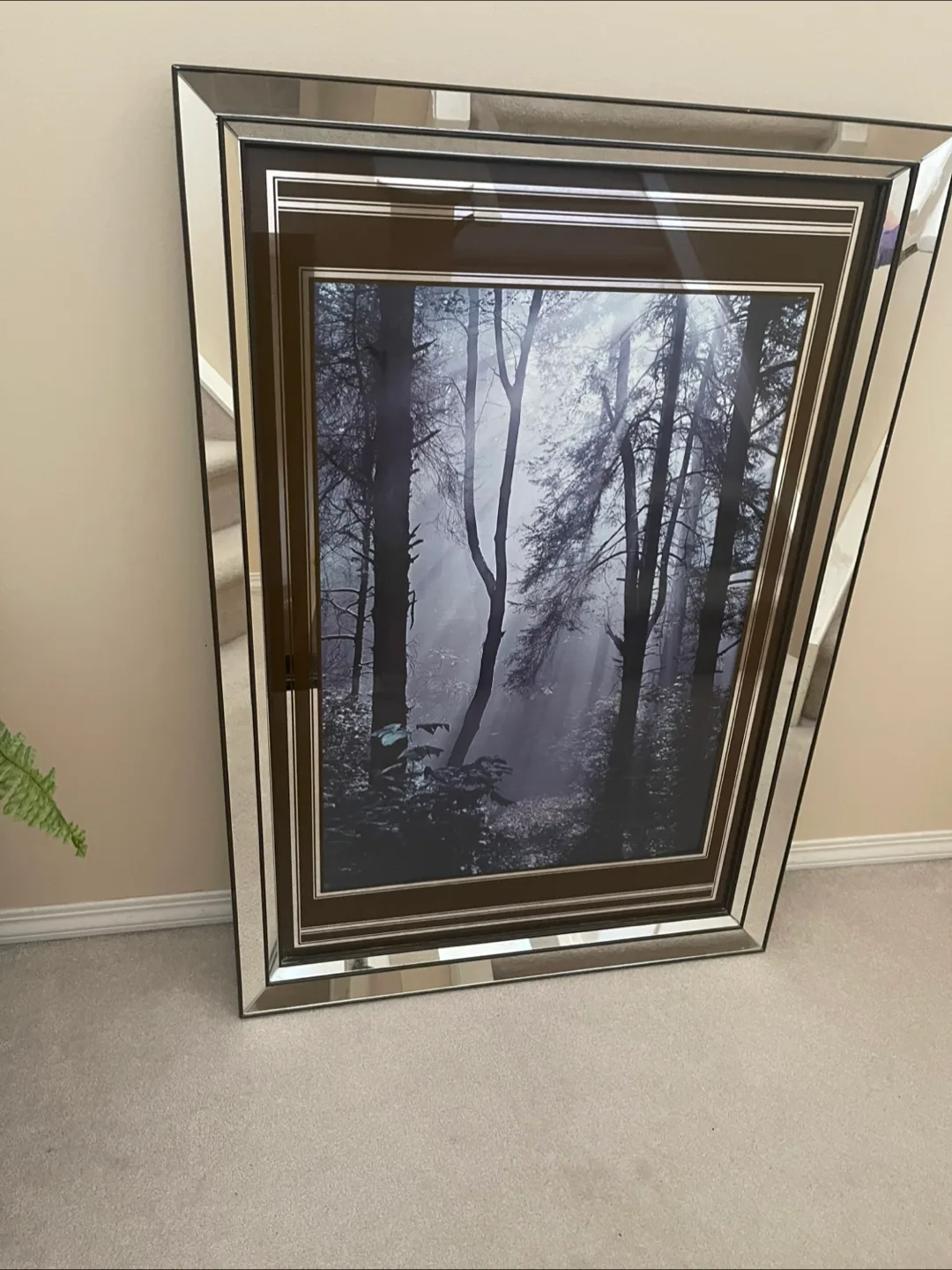 🇨🇦 Framed Forest Print with Mirrored Frame 27x40 image indicator(10)