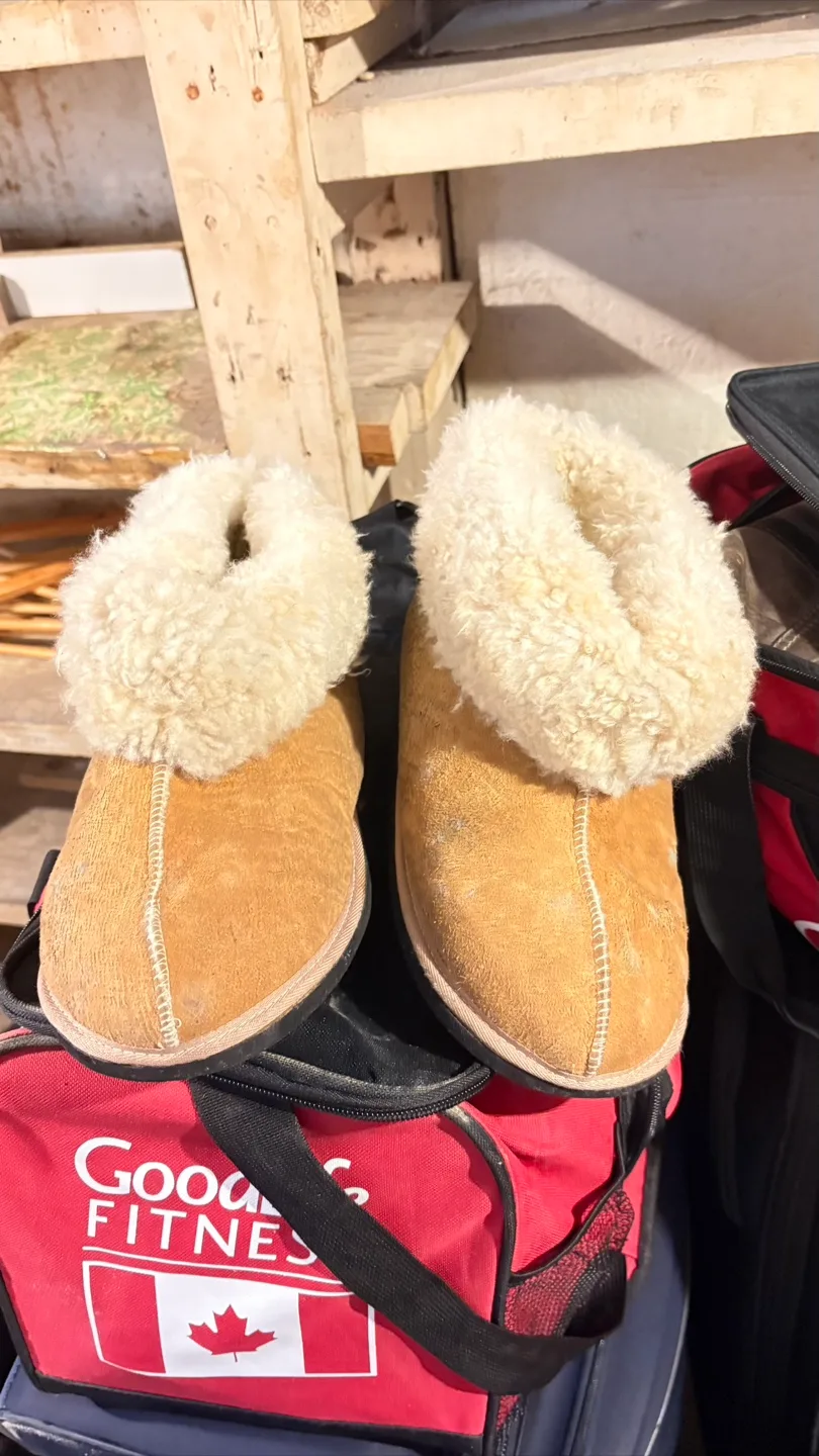 Shearling Lined Suede Slippers thumbnail