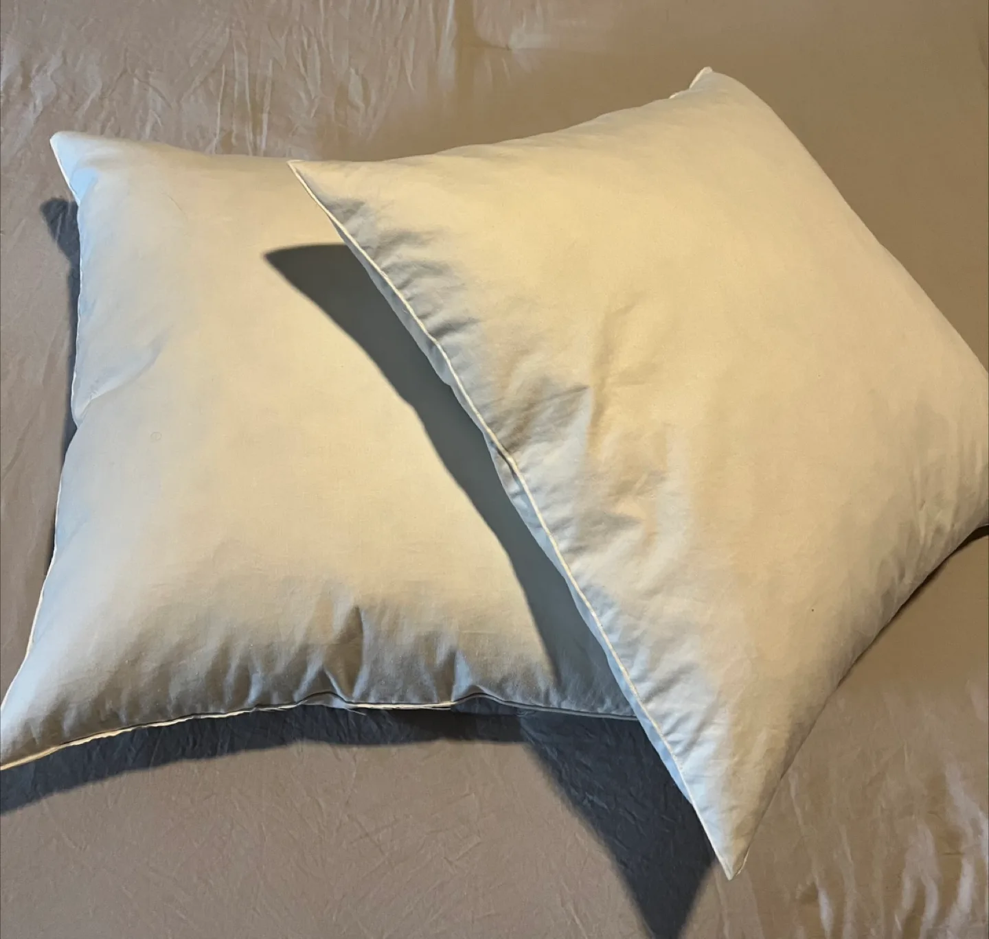 Square Pillows Inserts thumbnail