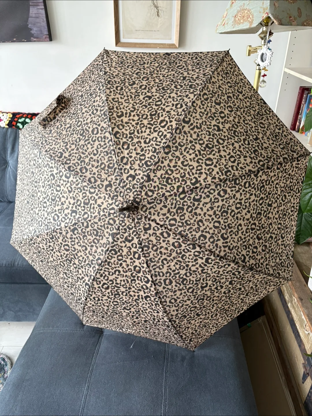 Leopard Print Umbrella thumbnail