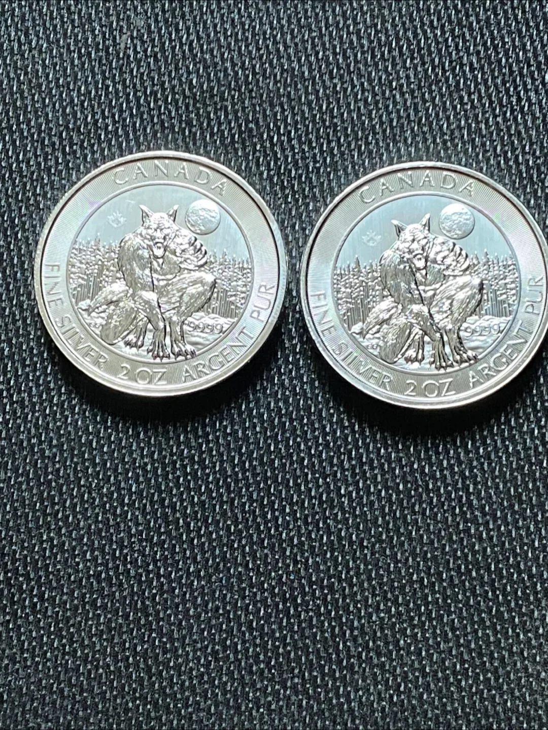 2021 Canada 2 oz Silver Coins - $10 Each thumbnail