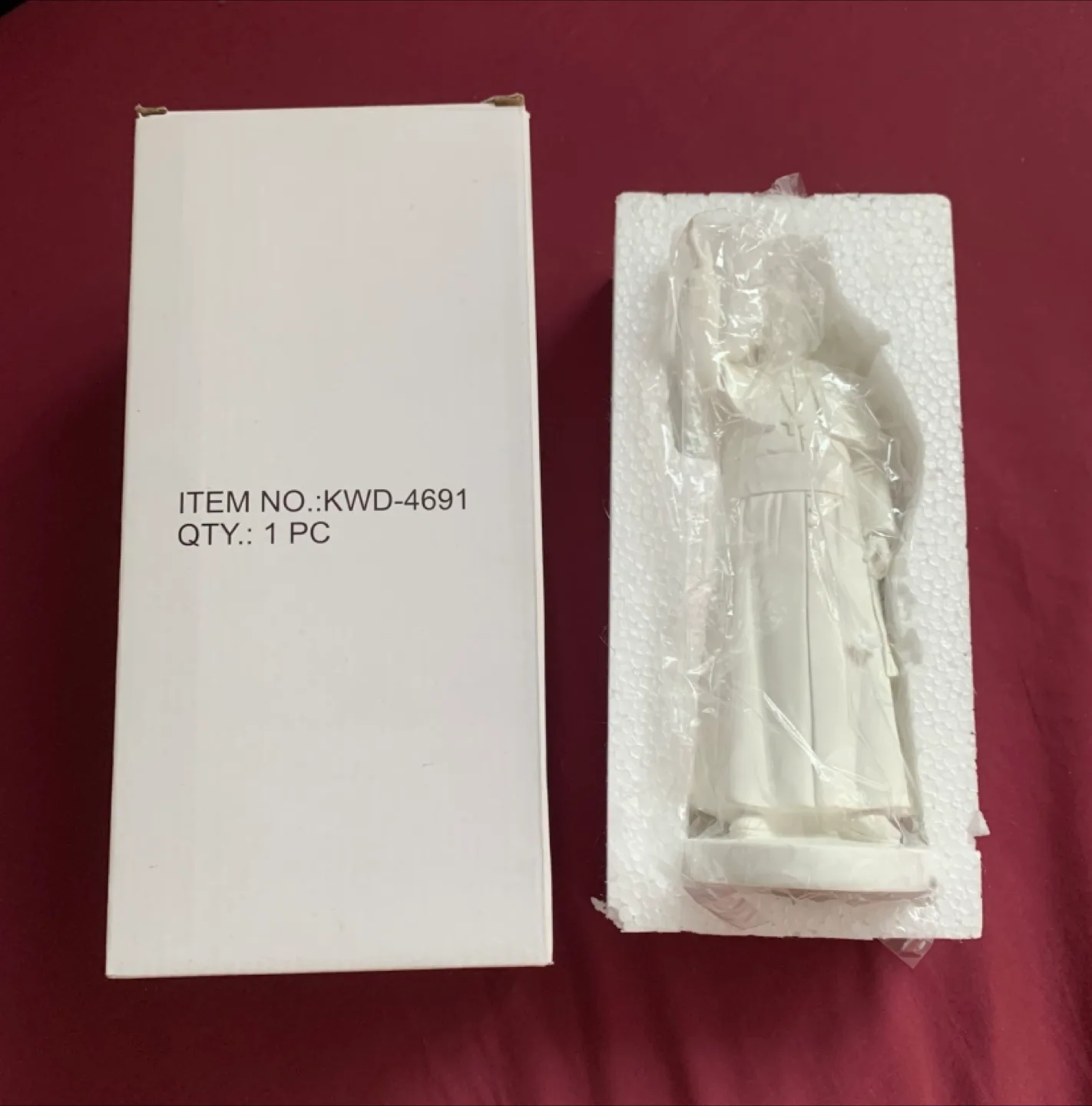 Pope Francis, BNIB image indicator(3)