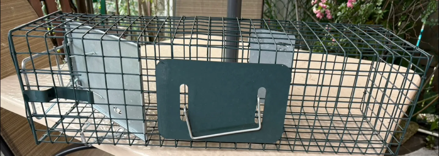 24" (small) Easy Set Live Animal Cage Trap image indicator(2)
