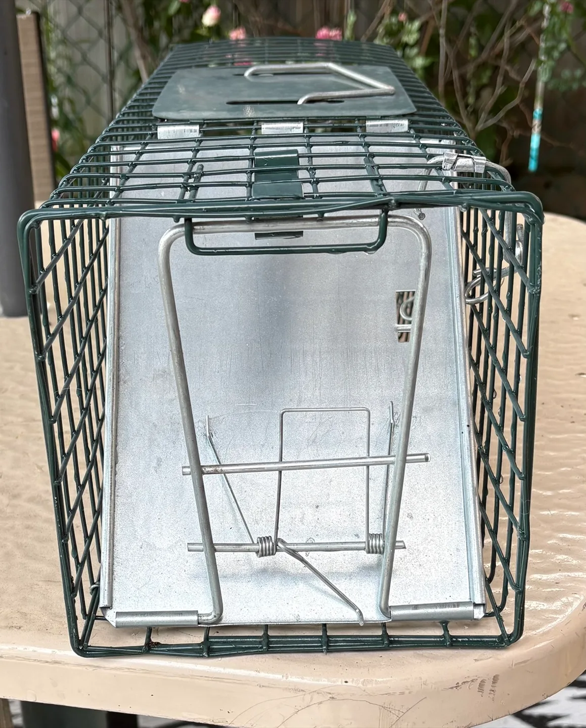 24" (small) Easy Set Live Animal Cage Trap image indicator(4)