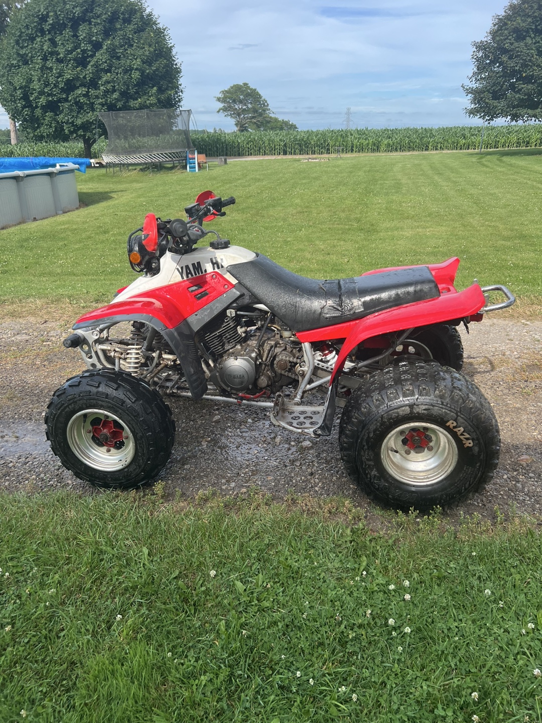 Yamaha warrior 350 race quad - photo 2