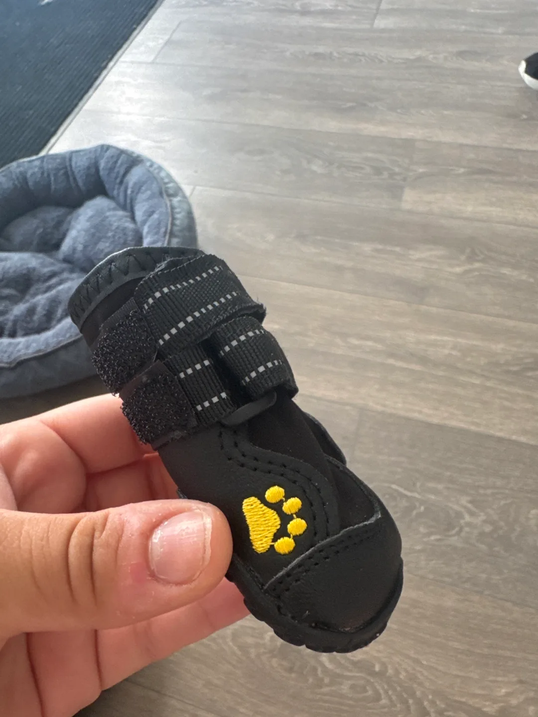 New XSY&G Dog Boots, Size 3 image indicator(3)