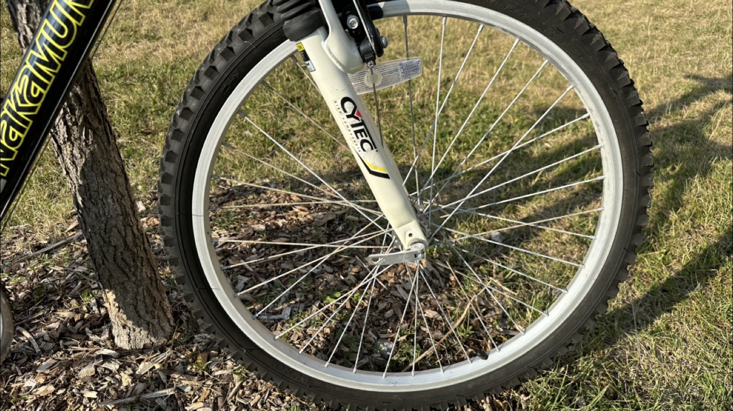 🇨🇦 🍁  Nakamura AGYL 24” Mountain Bike - Shimano 18 Speed - photo 3
