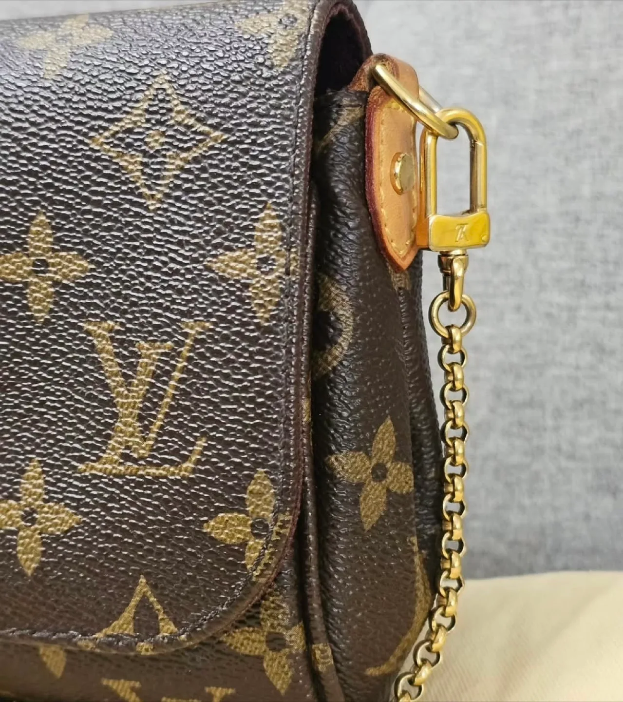 MOST AFFORDABLE LV Monogram Favorite PM crossbody/shoulder bag image indicator(3)