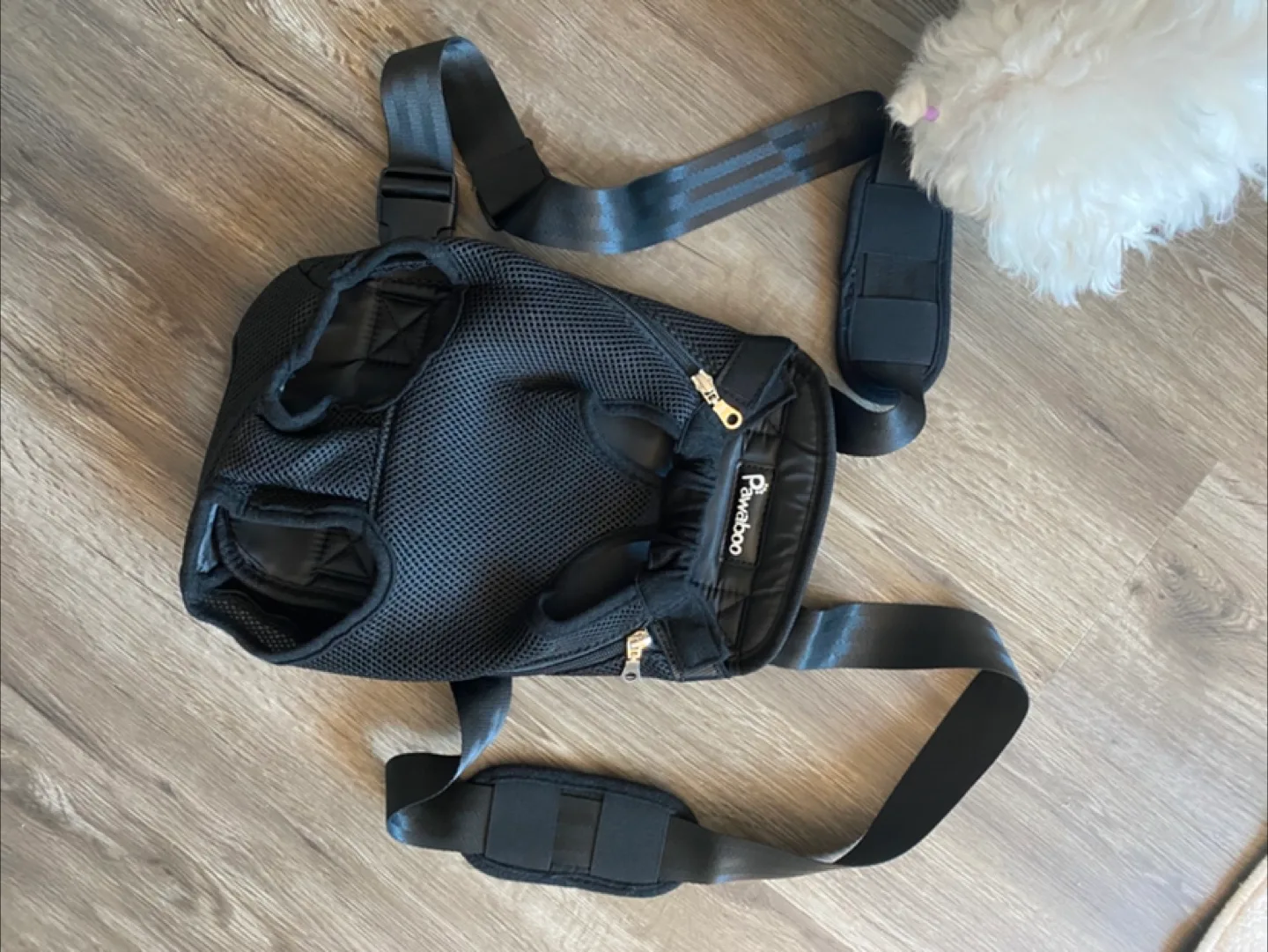 Pawaboo Pet Carrier Backpack - Black [M] image indicator(3)