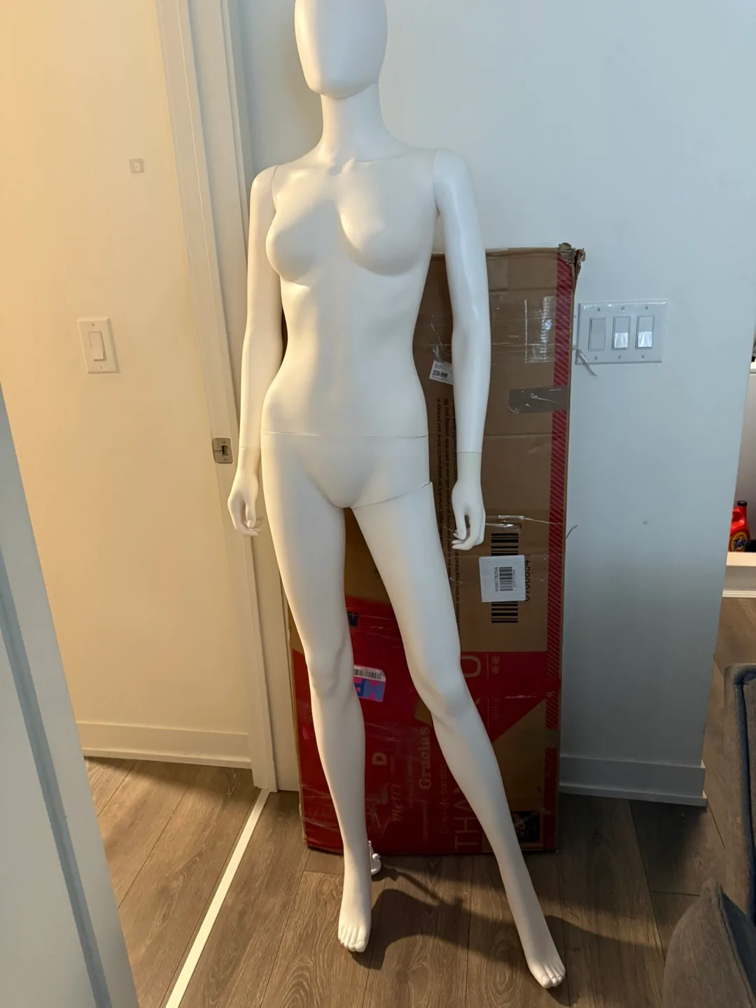 Female Mannequin thumbnail