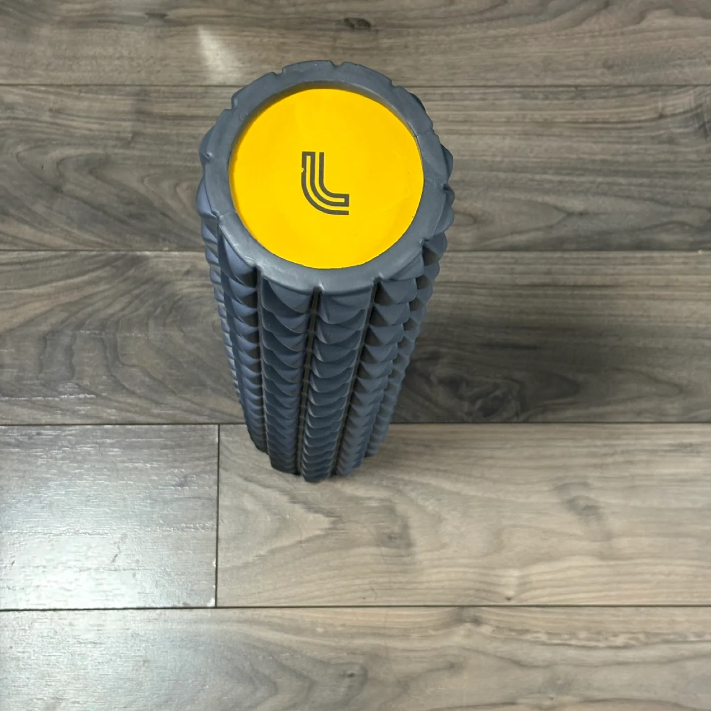 Lole Premium High Density Foam Roller - Grey image indicator(2)