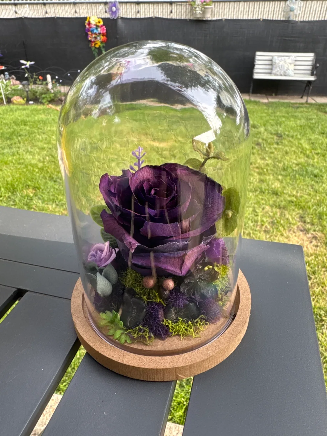 Preserved Purple Rose Cloche Dome Display thumbnail