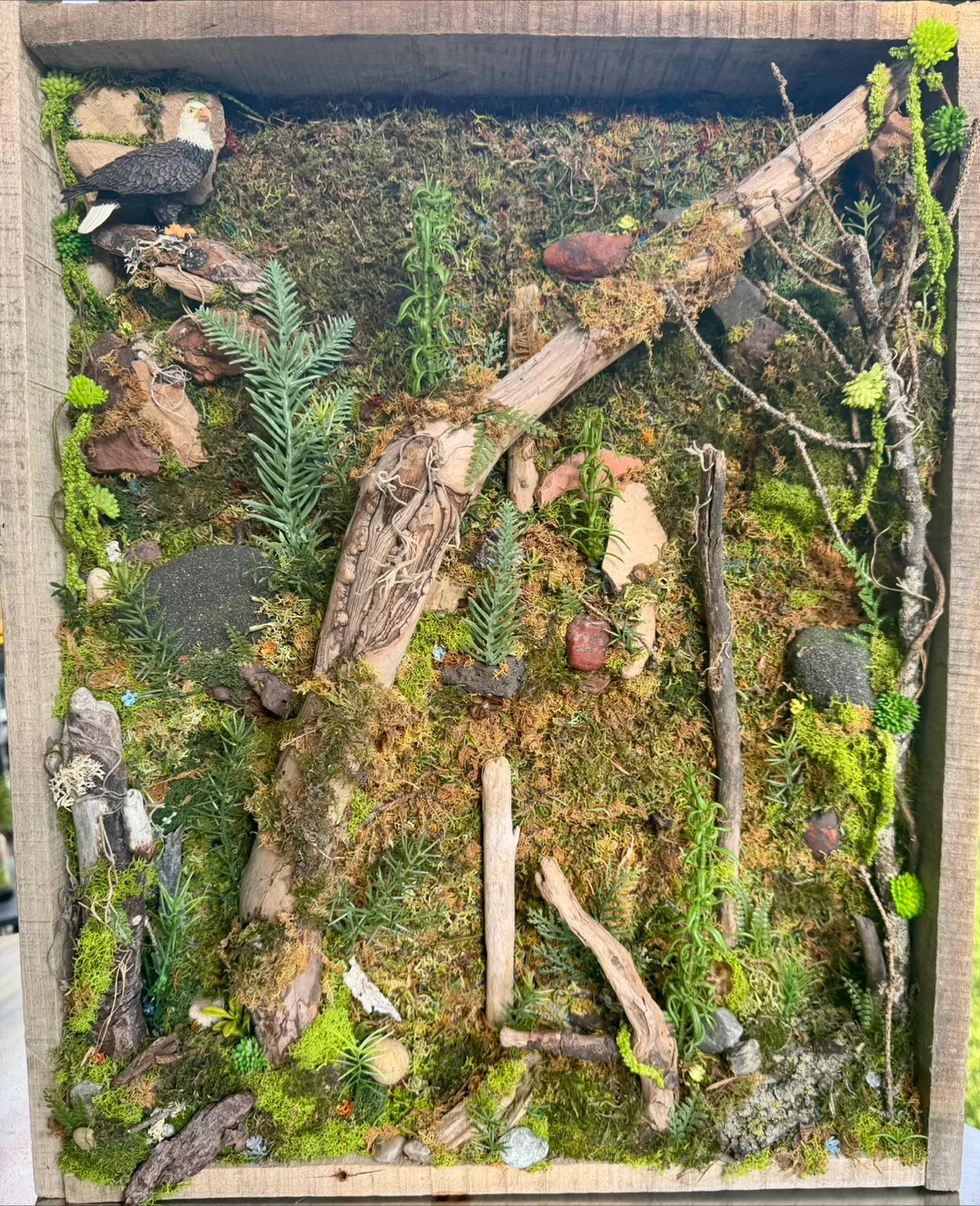 Framed Moss & Wood Art Piece thumbnail