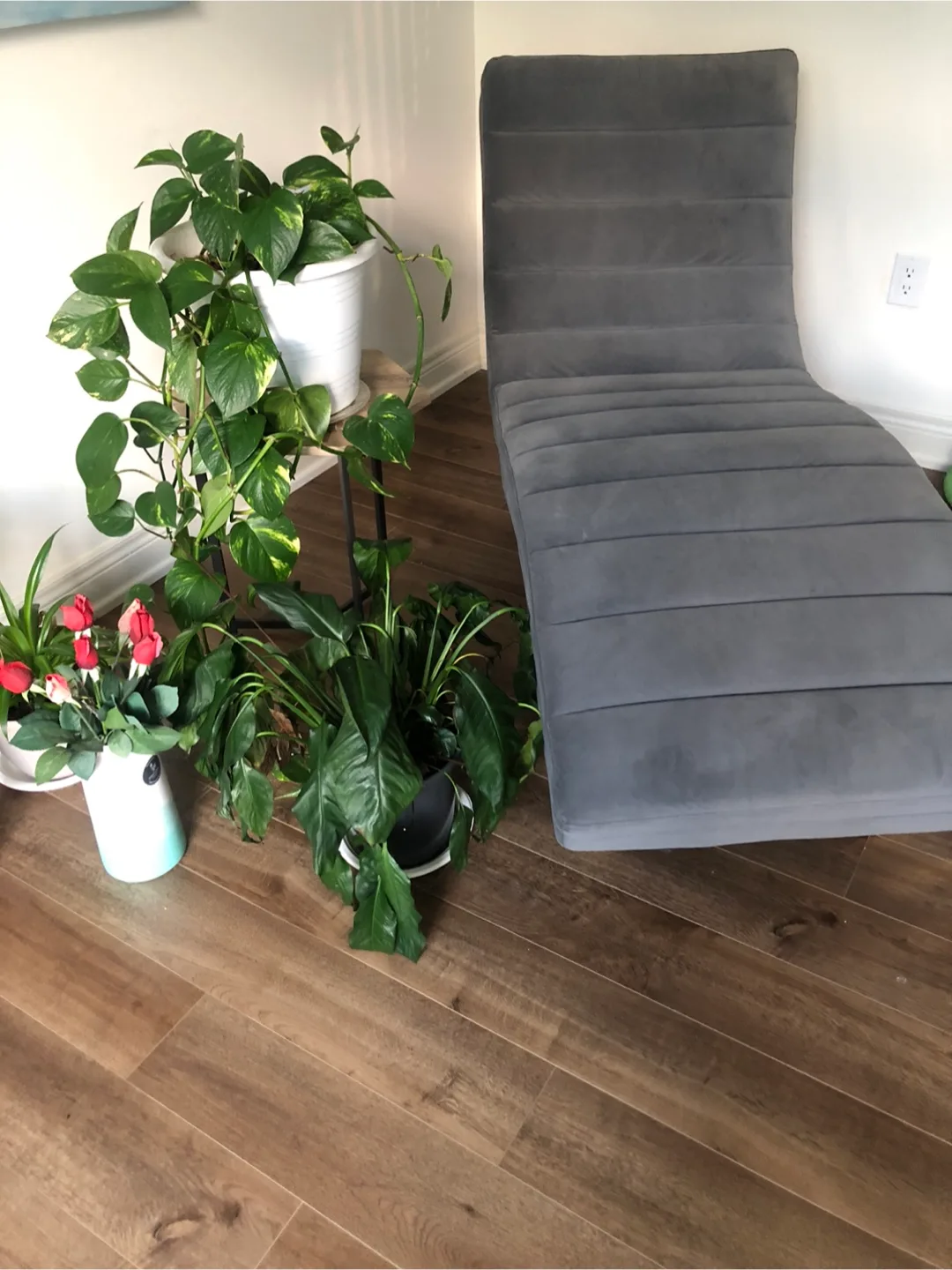 Velvet Chaise Lounge - Grey image indicator(4)