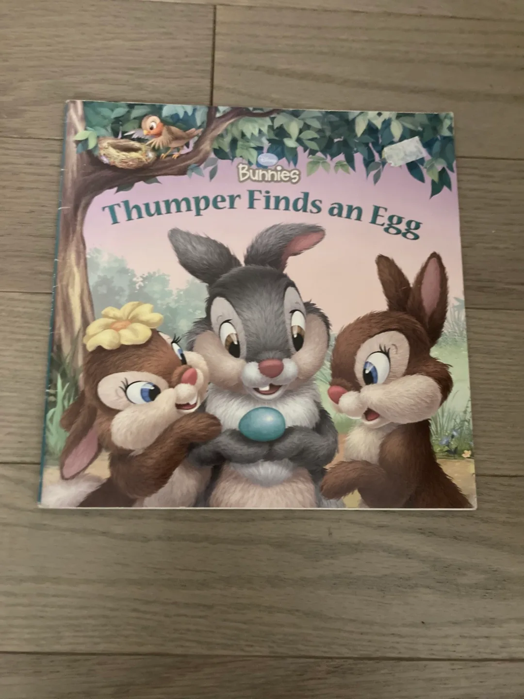 🇨🇦🍁Thumper Finds an Egg - Disney Bunnies Book thumbnail