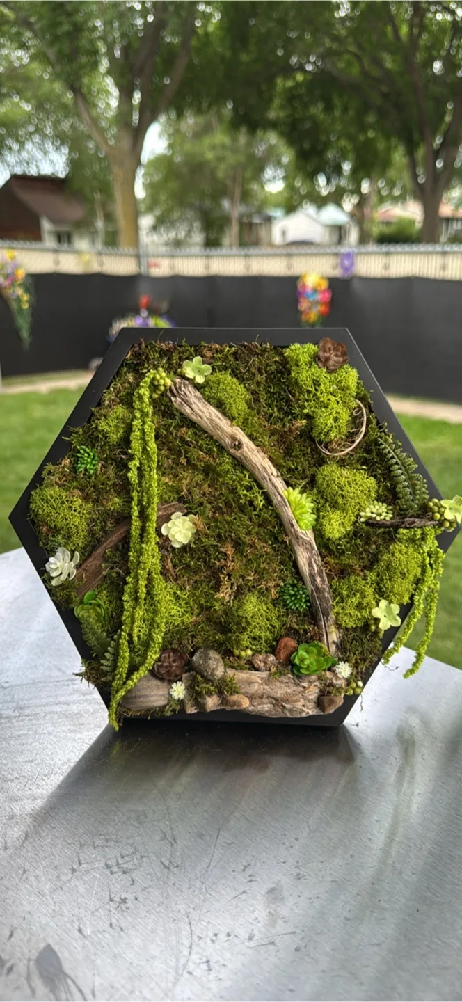 Moss and Wood Framed Wall Art thumbnail