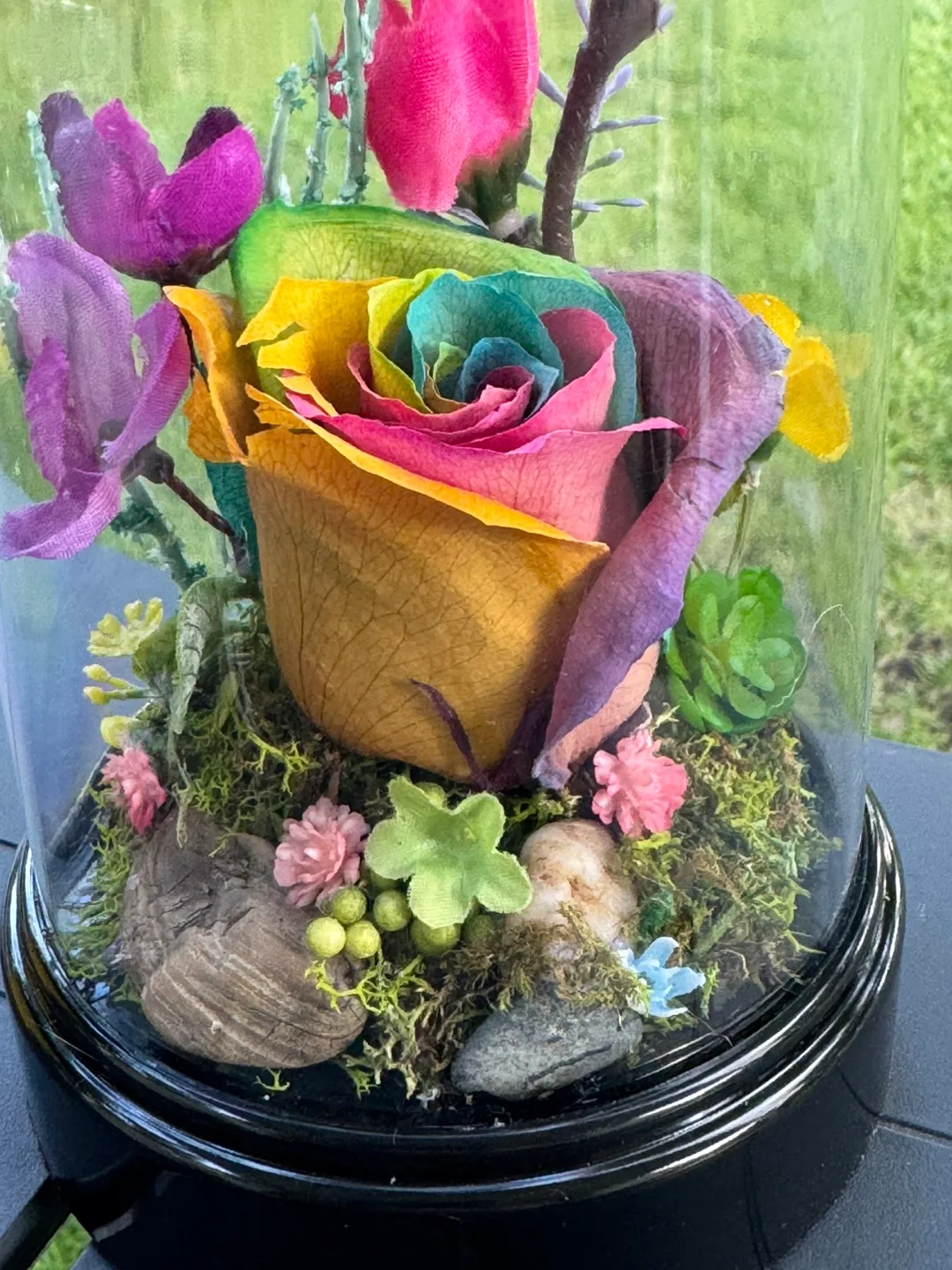 Preserved Rainbow Rose Flower in Glass Dome thumbnail