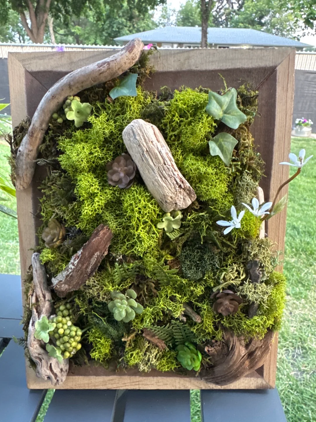 Moss & Wood Framed Wall Art thumbnail