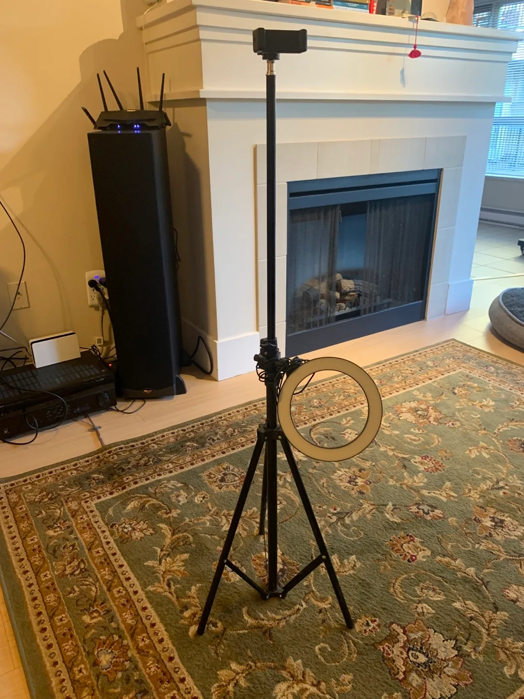 LED Ring Light with Tripod Stand thumbnail