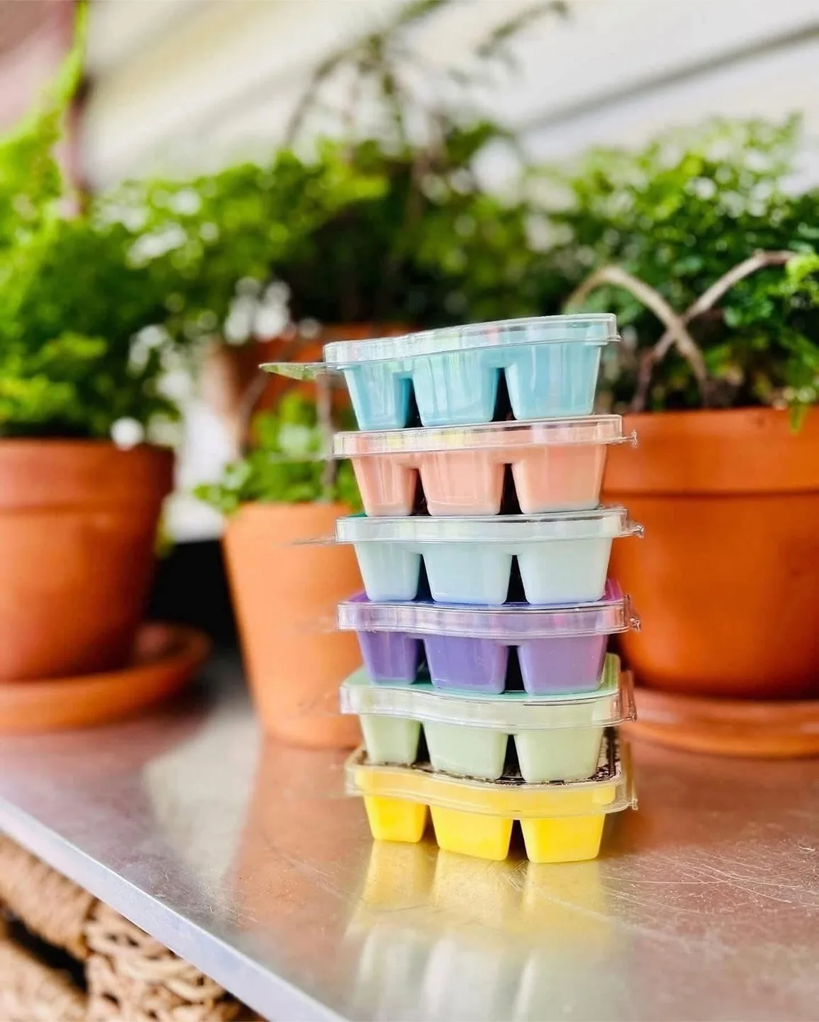 Scentsy’s Beach Vibe 6 pk! thumbnail