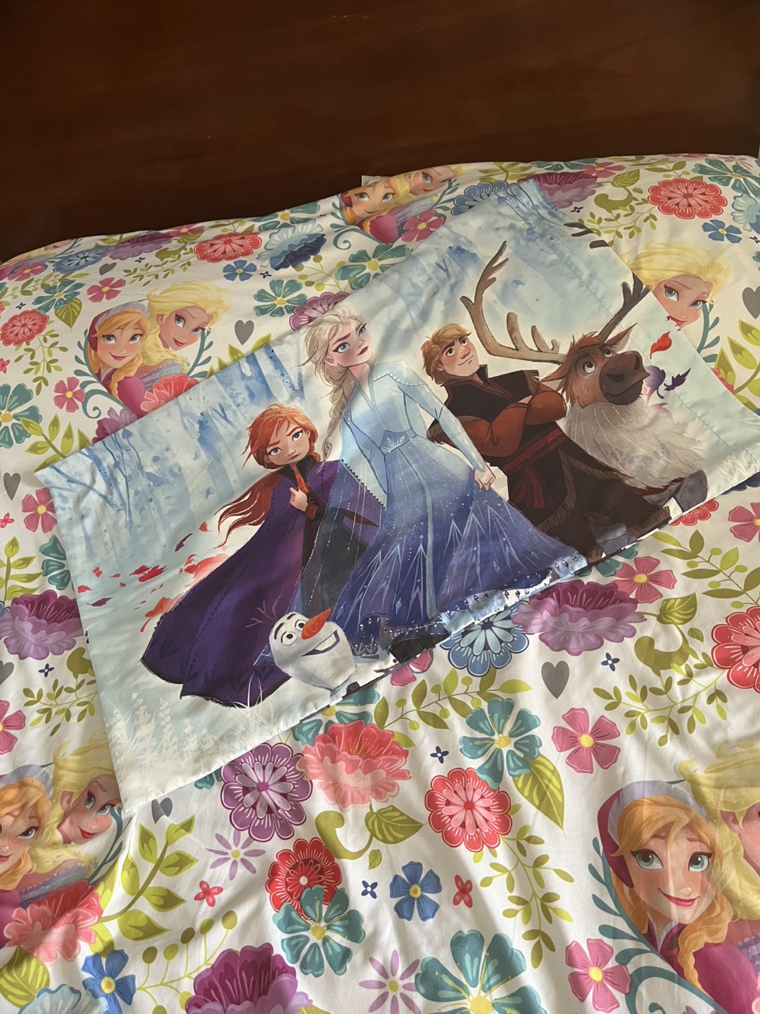 Disney Frozen twin single flat sheet and pillowcase