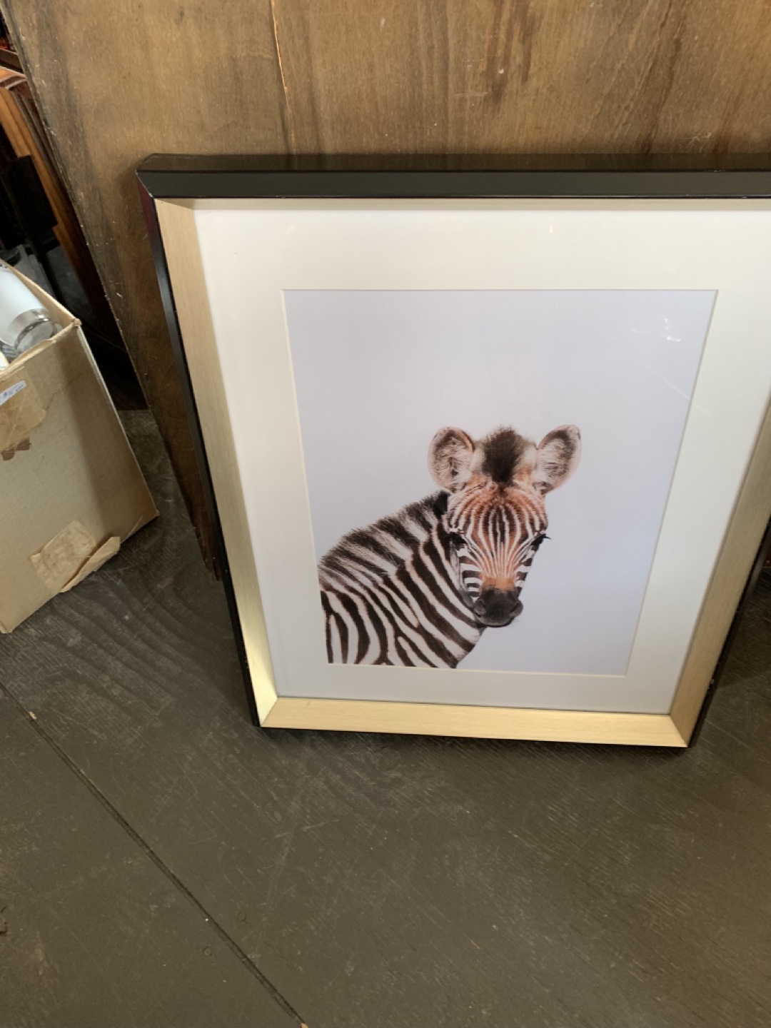 ZEBRA PICTURE-FRAMED