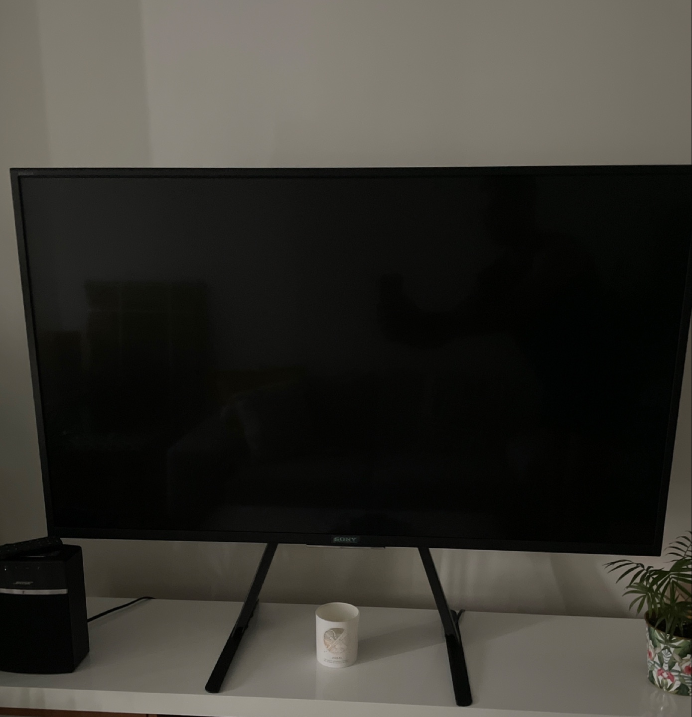Sony Bravia TV - 44 Inch
